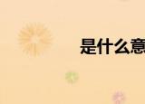 是什么意思（轻狂释义）
