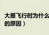 大雁飞行时为什么要排队（大雁飞行时要排队的原因）