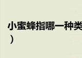 小蜜蜂指哪一种类人（小蜜蜂分别指哪一类人）