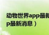 动物世界app最新消息 临夏县（动物世界app最新消息）