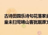 古诗田园乐诗句花落家童未扫莺啼山客犹眠的意思（花落家童未扫莺啼山客犹眠原文）