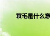蓑毛是什么意思解释一下（蓑毛）