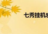 七秀挂机宏（七秀输出宏）