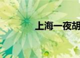 上海一夜胡彦斌（上海一夜）