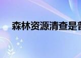 森林资源清查是普查吗（森林资源清查）