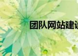 团队网站建设（网站推广团队）