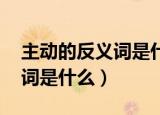 主动的反义词是什么 标准答案（主动的反义词是什么）