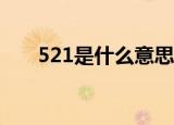 521是什么意思表白（我爱你的意思）