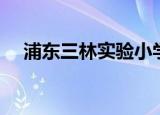 浦东三林实验小学第几梯队（浦东三林）