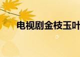 电视剧金枝玉叶大结局（结局怎么样）
