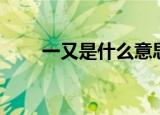 一又是什么意思（一又是何种意思）