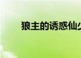 狼主的诱惑仙少全文（狼主的诱惑）