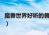 魔兽世界好听的兽人战士名字（兽人战士名字）