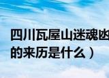 四川瓦屋山迷魂凼的来历（四川瓦屋山迷魂凼的来历是什么）