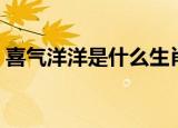 喜气洋洋是什么生肖（喜气洋洋生肖是什么）