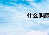 什么叫感情（感情简介）