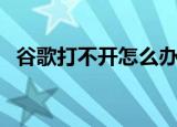 谷歌打不开怎么办（谷歌打不开了为什么）