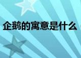 企鹅的寓意是什么（企鹅的象征和寓意介绍）
