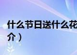什么节日送什么花好（不同节日适合送的花简介）