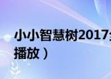 小小智慧树2017全集播放（小小智慧树全集播放）