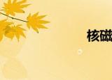  核磁共振是什么