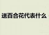 送百合花代表什么（送百合花代表意思简述）