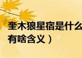 奎木狼星宿是什么星宿什么意思（奎木狼星宿有啥含义）