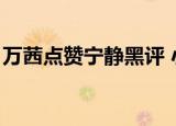 万茜点赞宁静黑评 小说（万茜点赞宁静黑评）