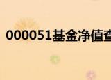 000051基金净值查询今天最新净值110010