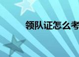 领队证怎么考（考领队证的要求）