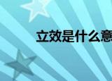 立效是什么意思（立效是何意思）