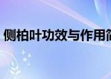 侧柏叶功效与作用简介（侧柏叶功效与作用）