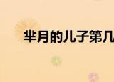 芈月的儿子第几集登位（芈月的儿子）