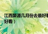 江西婺源几月份去最好看油菜花（江西婺源几月份的油菜花好看）