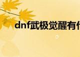 dnf武极觉醒有什么用（dnf武极觉醒）