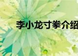 李小龙寸拳介绍（李小龙寸拳是什么）