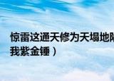 惊雷这通天修为天塌地陷紫金锤（惊雷这通天修为天塌地陷我紫金锤）