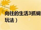 向往的生活3抓蝴蝶游戏怎么玩（抓蝴蝶游戏玩法）