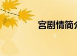 宫剧情简介（宫剧情介绍）