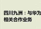 四川九洲：与华为公司在光网络终端方面开展相关合作业务