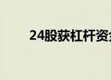 24股获杠杆资金净买入超3000万元