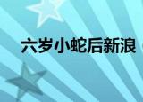 六岁小蛇后新浪（六岁小蛇后免费阅读）