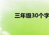 三年级30个字作文（30个字作文）