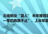 云南铜业“喜人” 半年报背后的“隐忧”：股价下跌引质疑“股价下滑一年仍跌跌不止”、上半年盈利增长主要靠营收占比不到2%的硫酸