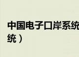 中国电子口岸系统操作流程（中国电子口岸系统）