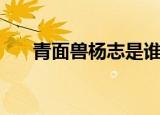 青面兽杨志是谁的后代（青面兽杨志）