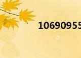 1069095599和95599区别