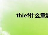 thief什么意思中文（thief翻译）