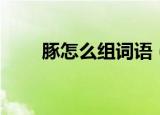 豚怎么组词语（豚的组词语有哪些）