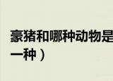 豪猪和哪种动物是近亲（豪猪的近亲动物是哪一种）